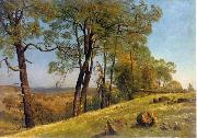 Landscape, Rockland County, California Albert Bierstadt